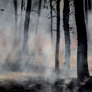 Colorado Wildfires: Prepare Your Ministry Now